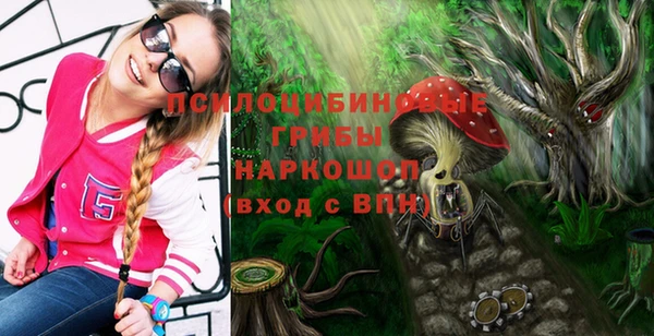 ECSTASY Сосновый Бор