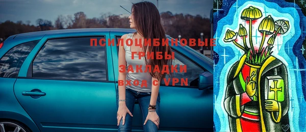 мдпв Сосновоборск