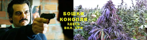 ECSTASY Сосновый Бор